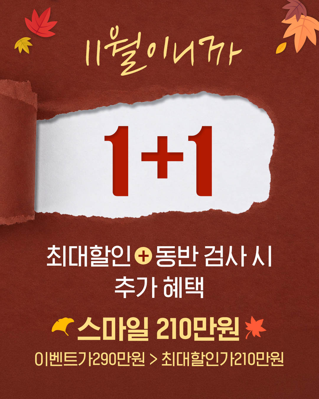 11월 이벤트